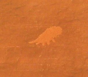 foot